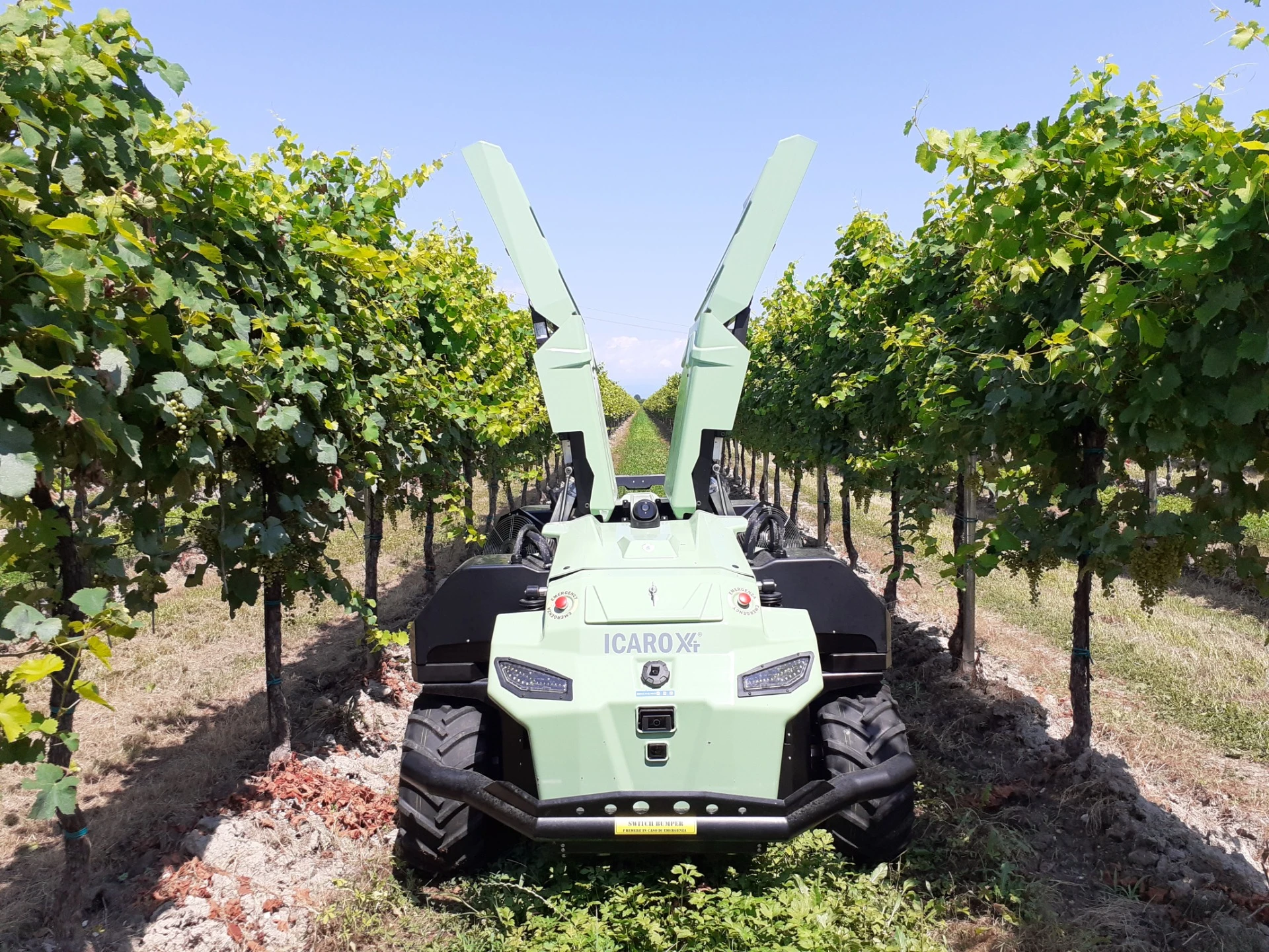 Robotul ICARO X4: Revoluție în Viticultură
