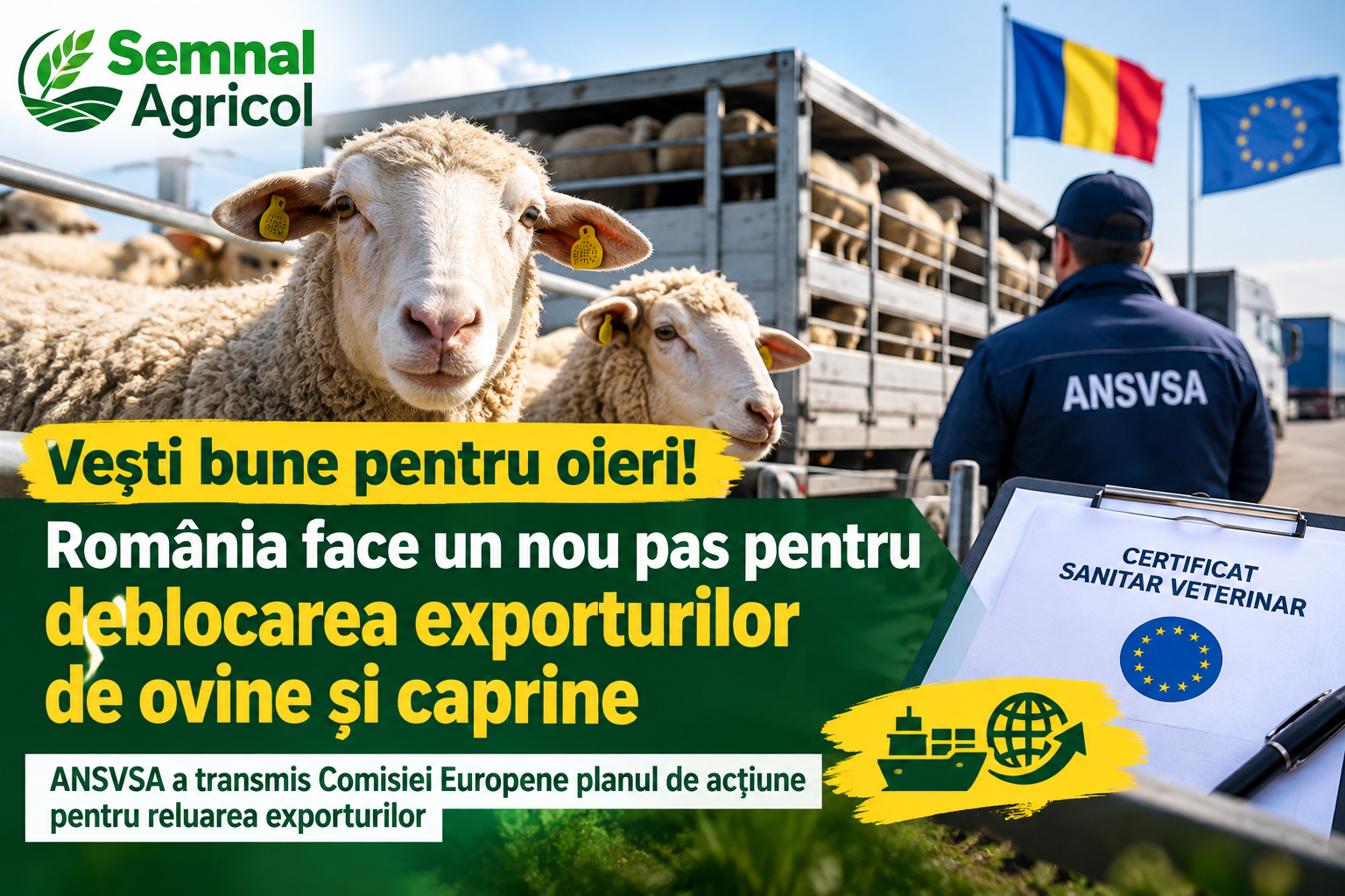 Vești bune pentru oieri! România face un nou pas pentru deblocarea exporturilor de ovine și caprine