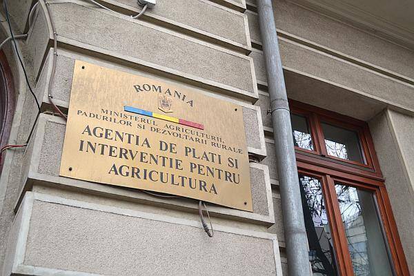 APIA începe astăzi plata despăgubirilor de secetă? Ce trebuie să știe fermierii despre sprijinul de 333 lei/ha